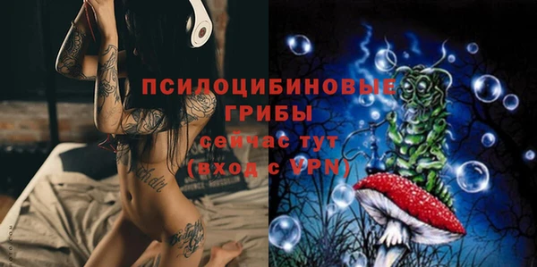 МДПВ Бронницы