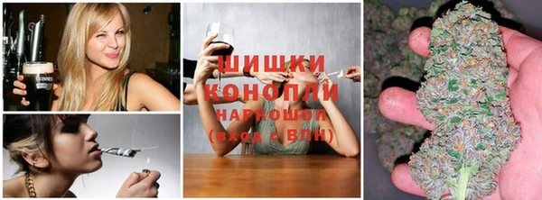 МДПВ Бронницы