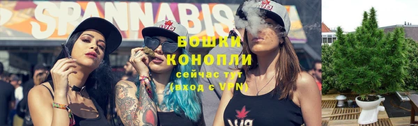 МДПВ Бронницы